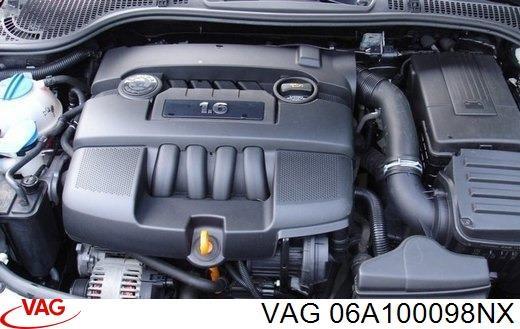 06A100044GX VAG