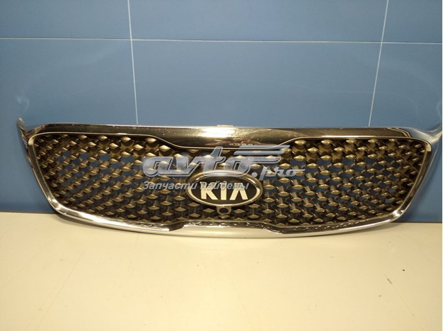  Parrilla KIA Sorento 3