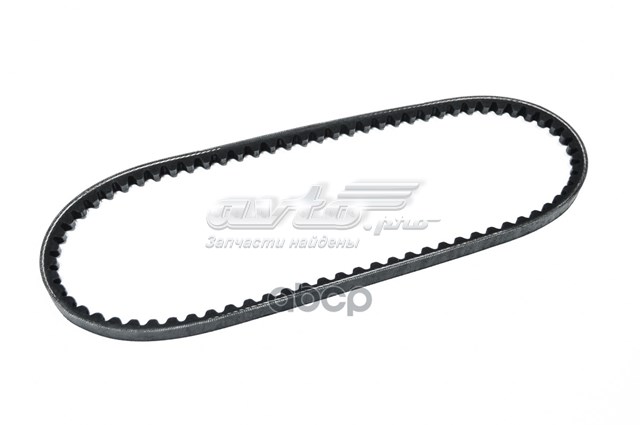 Correa de alternador 10A0740C Dayco