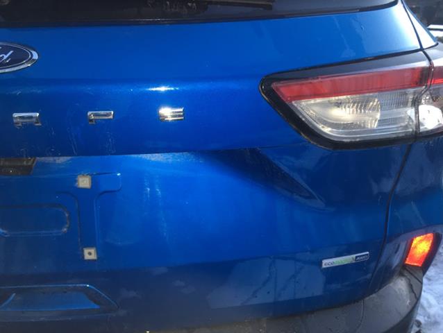Porton trasero para Ford Escape III DFK