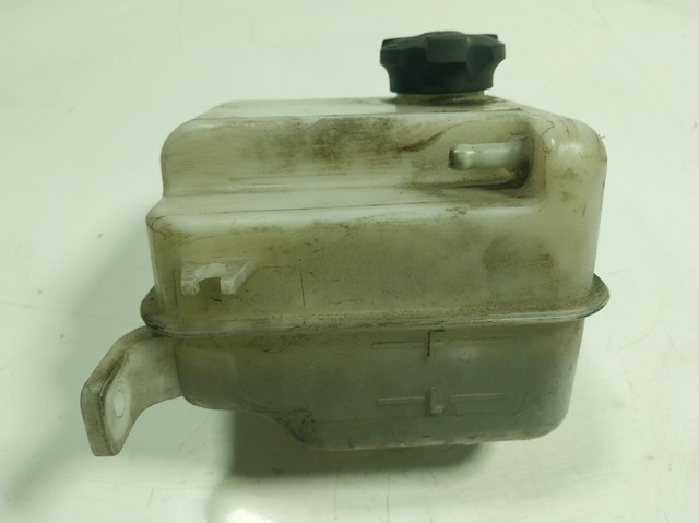 Botella de refrigeración KIA Carens 