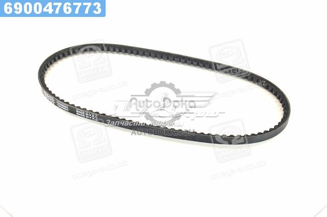 13A0965C Dayco Correa poly v