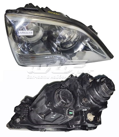 921023E5XX Hyundai/Kia Luz derecha