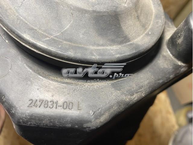 24783100L VAG 