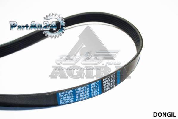 6PK2120 Dongil Correa poly v