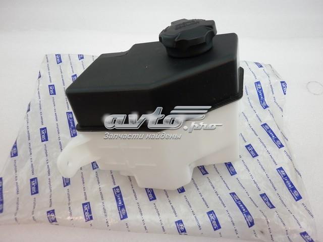 Botella de expansión KIA Rio II