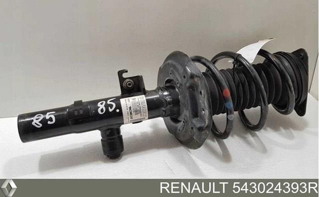 Amortiguador 543024393R Renault (RVI)
