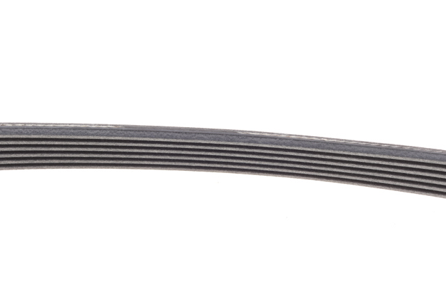 Correa de transmisión trapezoidal Continental/Siemens 6PK989ELAST precio, desde 9,02 EUR