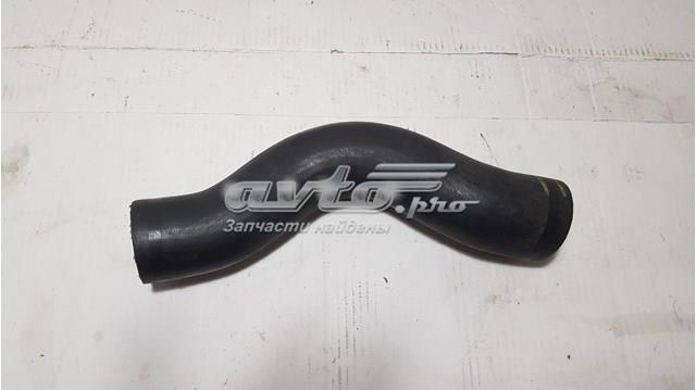 Comprar 144631KC0A Nissan/Infiniti Tubo intercooler