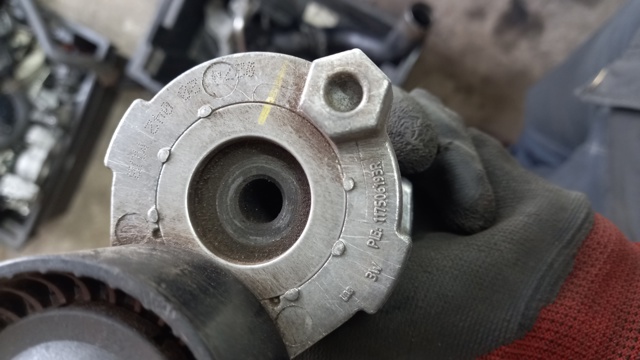 Tensor de correa poli V 117506193R Renault (RVI)