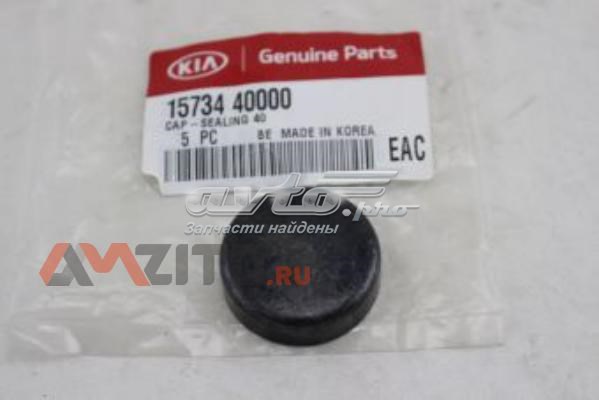 Tapa de cilindro Hyundai/Kia 1573440000 precio, desde 4,69 EUR