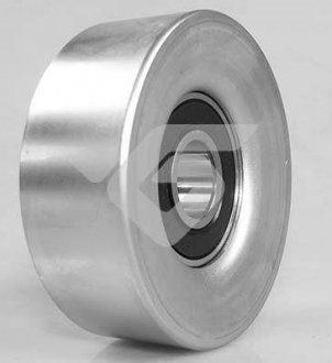 Tensor de correa accesorios Hutchinson T0592 precio, desde 22,95 EUR