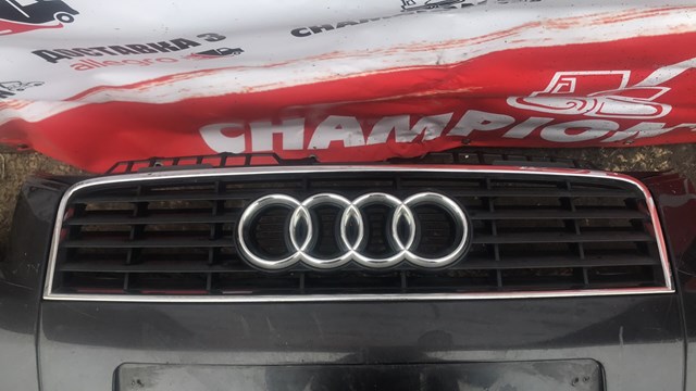 Parrilla Audi A3 Audi A3 (8P1) 