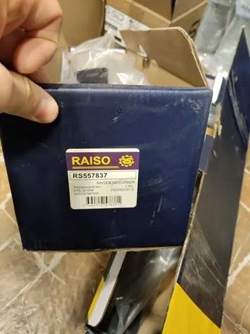 RS557837 Raiso Amortiguador frontal