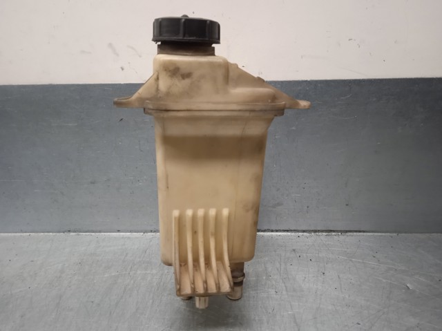 Depósito de bomba de dirección hidráulica para Citroen Jumper  250