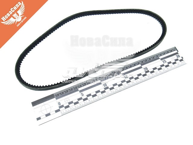 10A0888C Dayco Correa poly v