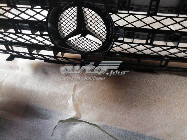 63988000839775 Mercedes Calandra