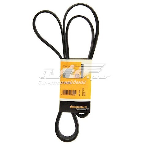 Correa accesorios Continental/Siemens 6PK2150
