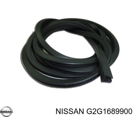 Junta del parabrisas Nissan JUKE JPN hatchback (F15) (2010 - 2019) precio, desde 35,05 EUR