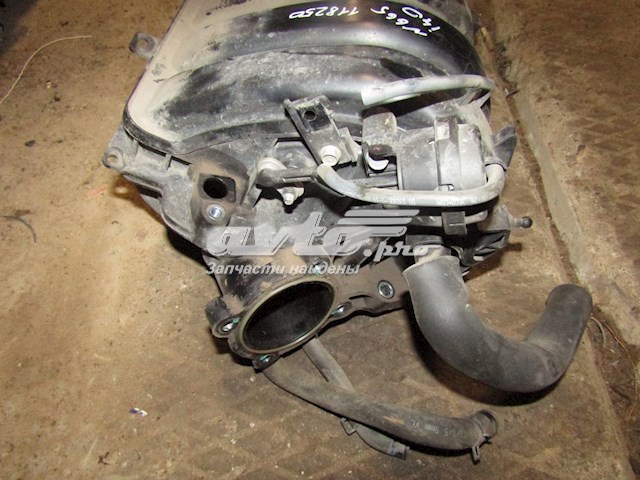 Múltiple de admisión Hyundai/Kia 283102E050