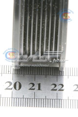 Polea tensora correa poli V 1018002692 Geely