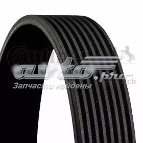 Comprar 8PK1509 Continental/Siemens Correa trapezoidal
