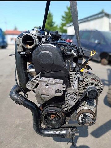 Motor VAG BXF