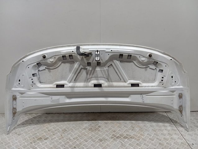 Comprar 9820422880 Peugeot/Citroen Capó