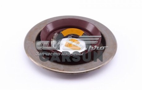 GS6118SKT DP Group Retén del piñón del diferencial trasero