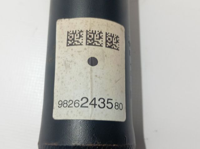 Amortiguador trasero 9826243580 Peugeot/Citroen
