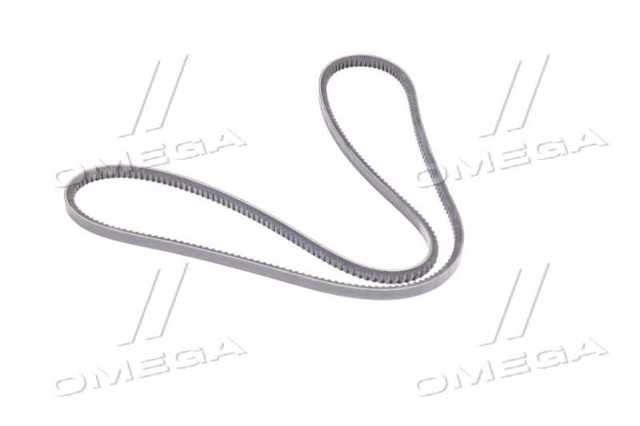 13A1700HD Dayco Correa poly v