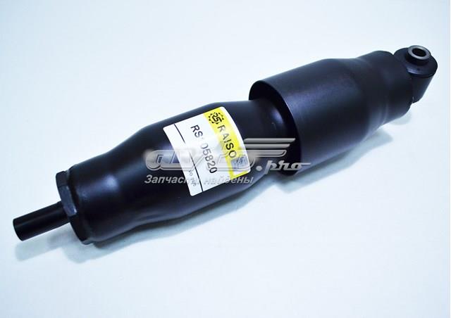RS105820 Raiso Amortiguadores posteriores