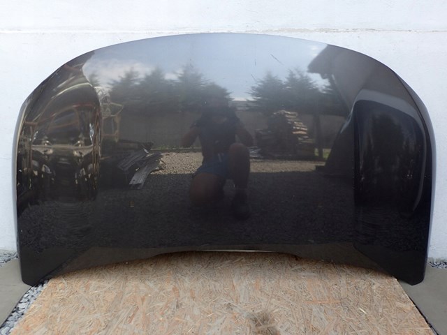 Comprar 9814028780 Peugeot/Citroen Capó