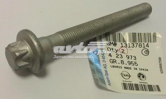 13137814 General Motors Perno de fijación de viga trasera