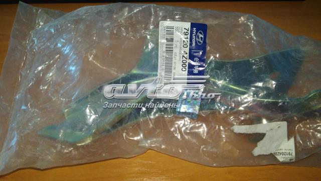 Bisagra de capot derecha para Hyundai Santa Fe (DM)