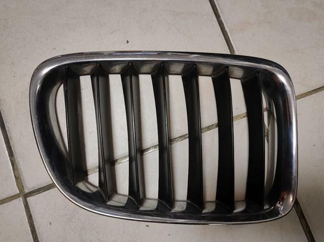 10627110 BMW Calandra