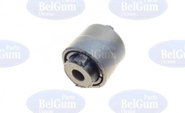 BG1163 Belgum Buje interior del brazo transversal trasero