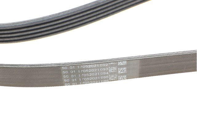 Correa de alternador 5PK1715 Continental/Siemens