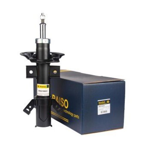 Amortiguador delantero izquierdo Raiso RS319551 precio, desde 110,47 EUR