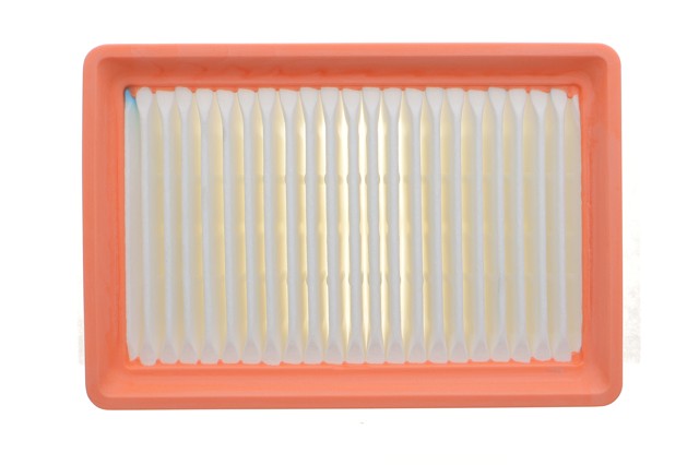 165465155R Renault (RVI) Filtro de aire de motor
