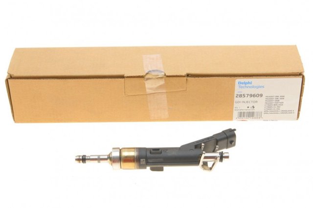 Inyector-bomba Delphi 28579609