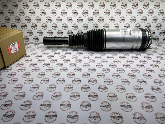 Amortiguador delantero izquierdo ASE3735 Arnott