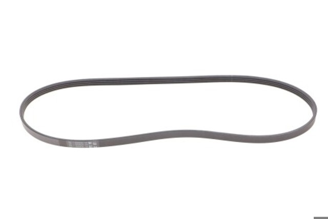 Correa de transmisión trapezoidal Continental/Siemens 4PK1155 precio, desde 11,45 EUR