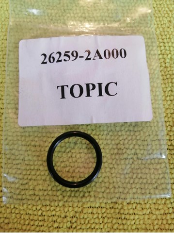 262592A000 Hyundai/Kia