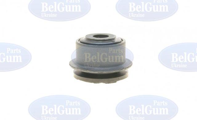 BG2270 Belgum Buje de mangueta trasera