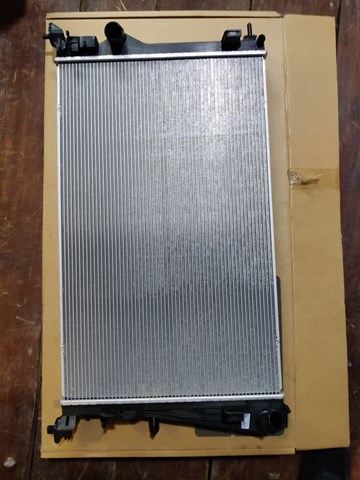 Radiador 214102845R Renault (RVI)