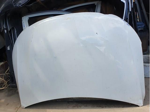 Comprar 9816972680 Peugeot/Citroen Capó