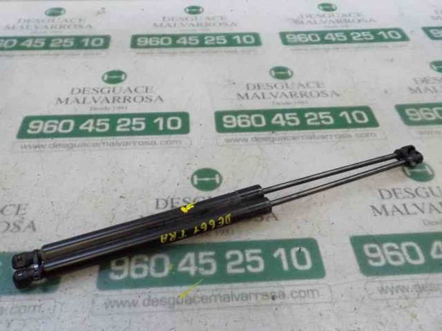 9807899380 Peugeot/Citroen Amortiguador de porton