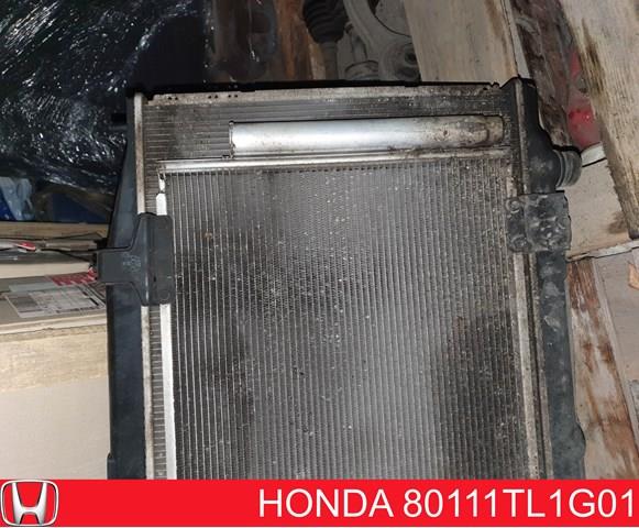 80111TL1G01 Honda