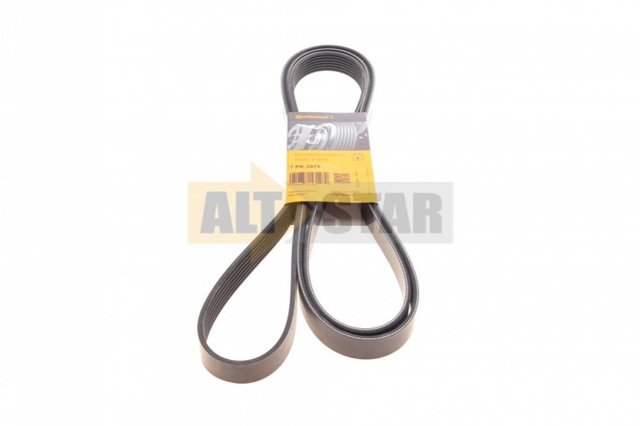 Correa accesorios Continental/Siemens 7PK2875